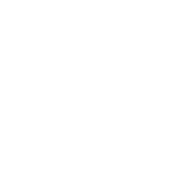 Conveyance Icon