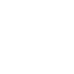 Delivery Icon