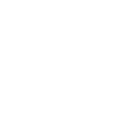 Gavel Icon